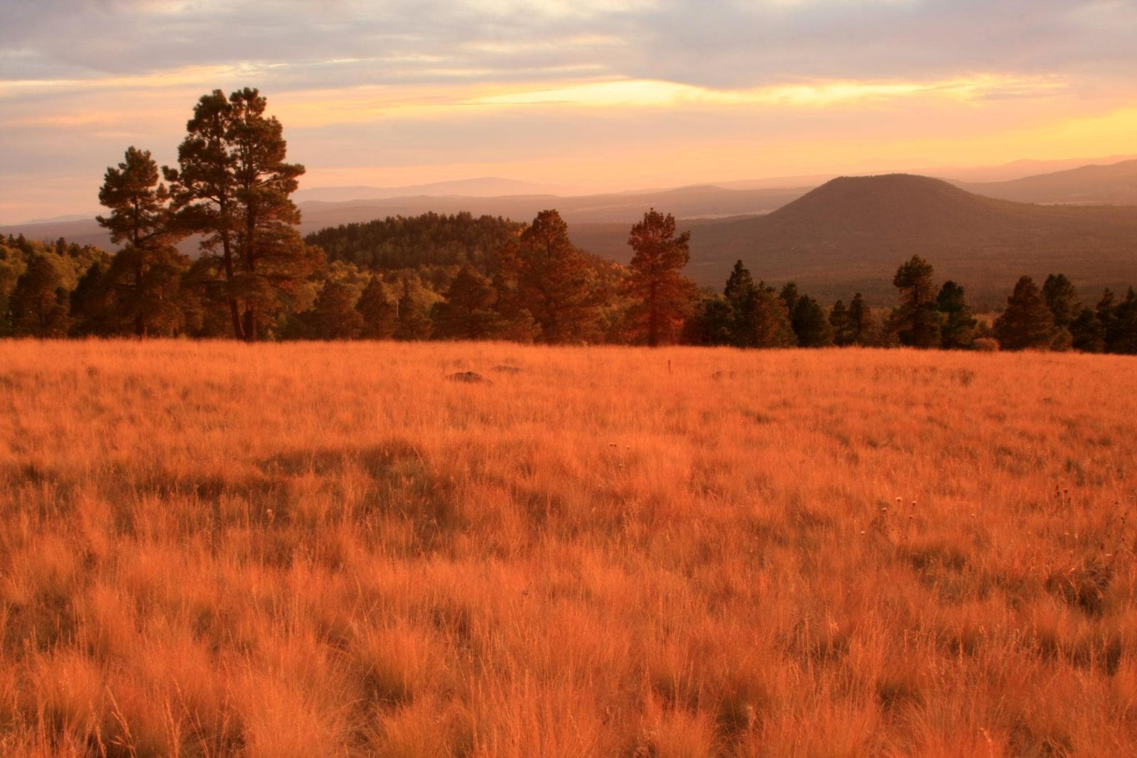 View from The Palmer site, Prescott Arizona